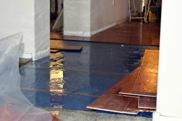 Professional Sewage Cleanup technician working in Davison, MI